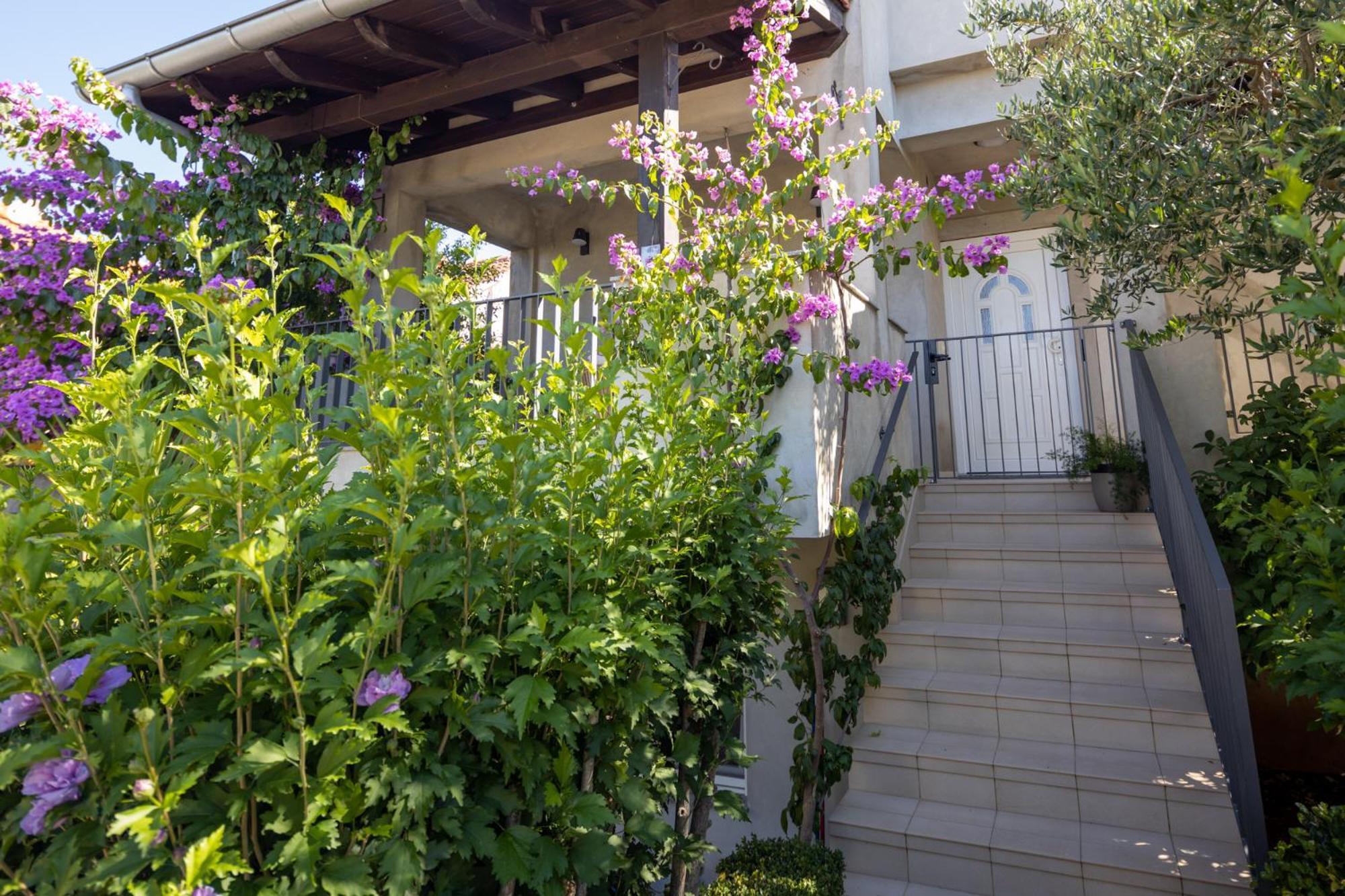Lumaja Luxury Apartman بيوغْغاد نا موغو المظهر الخارجي الصورة